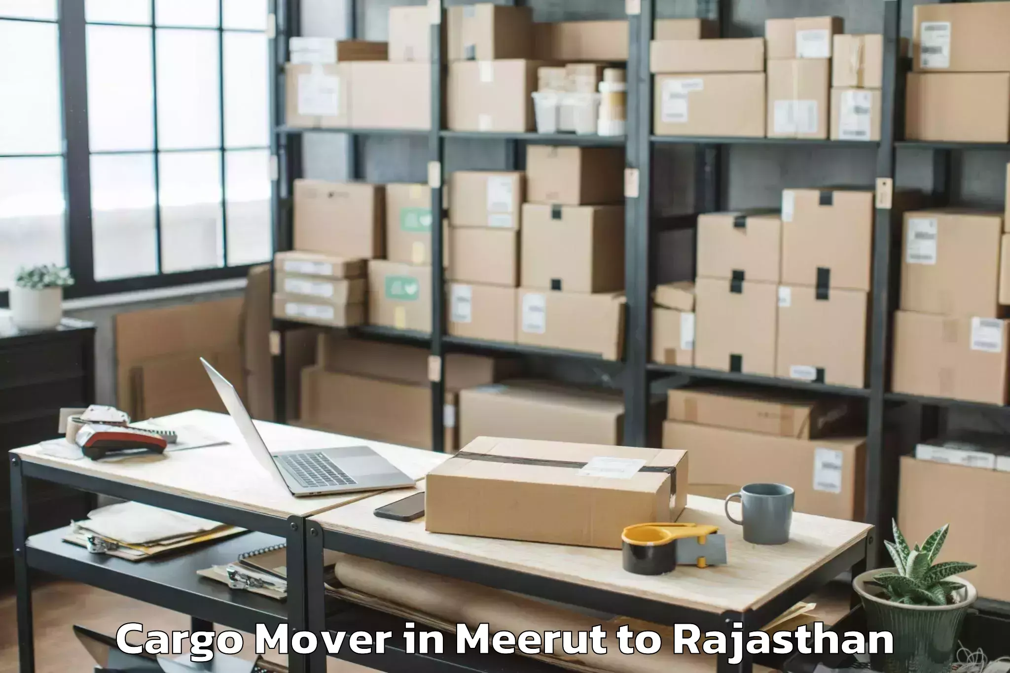 Top Meerut to Kapasan Cargo Mover Available